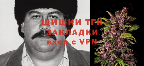 спиды Краснослободск