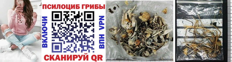 Купить закладки  Вихоревка  Псилоцибиновые грибы Cubensis 